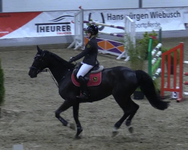 Reitturnier Luhmühlen 2021