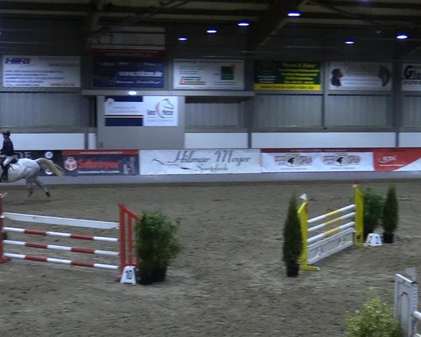 Reitturnier Luhmühlen 2021