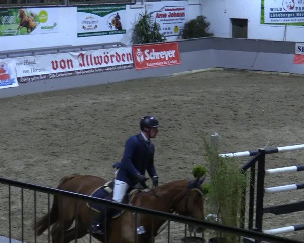 Reitturnier Luhmühlen 2021