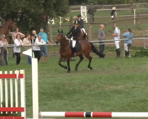 broodmare Rhianna SH (Mecklenburg, 2004, from Radeberger)