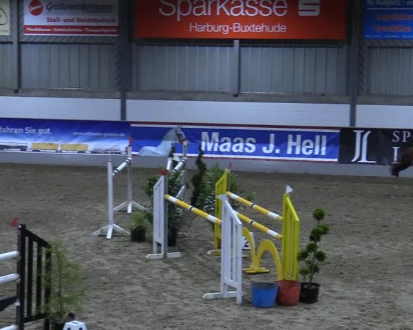 Reitturnier Luhmühlen 2021