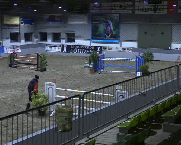Reitturnier Luhmühlen 2021