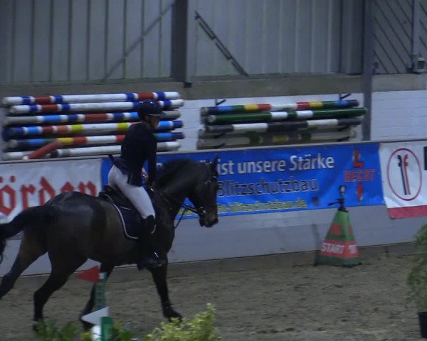 Reitturnier Luhmühlen 2021