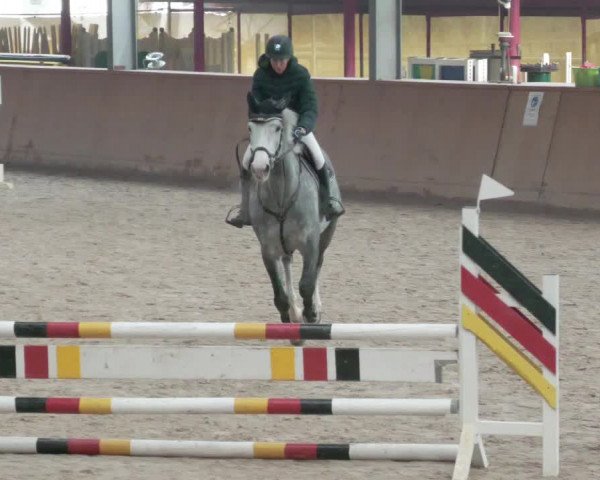 Reitturnier Lahr-Langenwinkel 2021