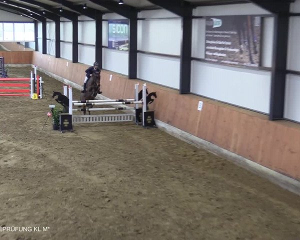 Reitturnier Stadtlohn 2021