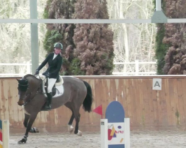 Reitturnier Lahr-Langenwinkel 2021