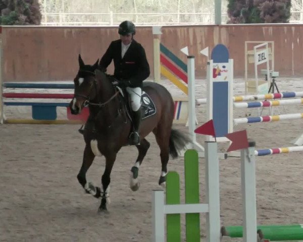 Reitturnier Lahr-Langenwinkel 2021