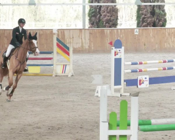 Reitturnier Lahr-Langenwinkel 2021