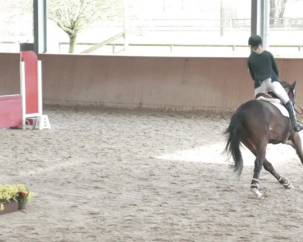 Reitturnier Lahr-Langenwinkel 2021
