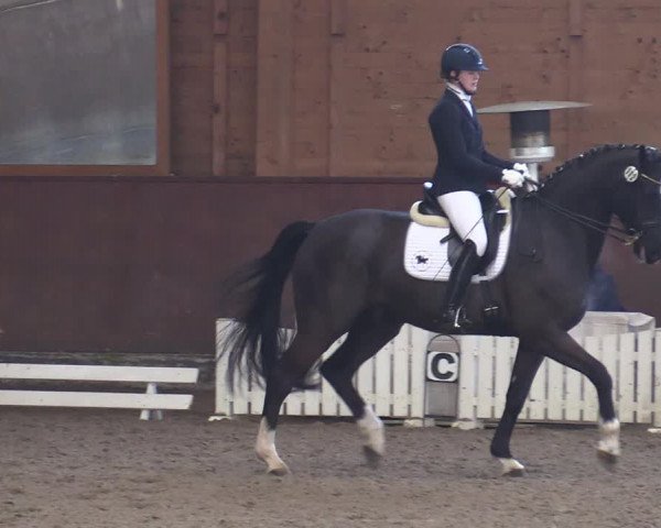 Reitturnier Buchholz in der Nordheide 2021