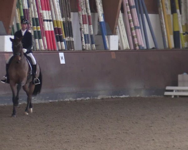 Reitturnier Buchholz in der Nordheide 2021