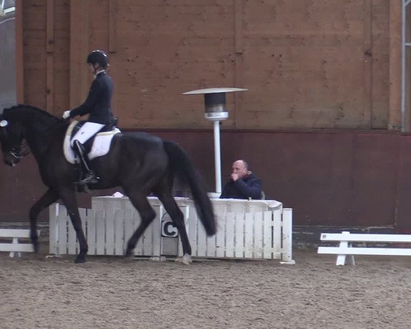 Reitturnier Buchholz in der Nordheide 2021