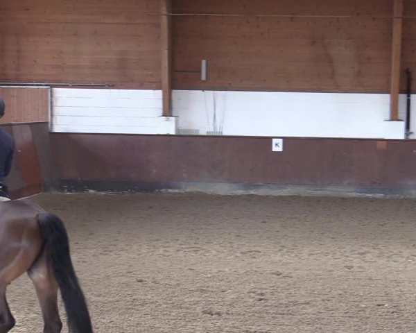 Reitturnier Buchholz in der Nordheide 2021