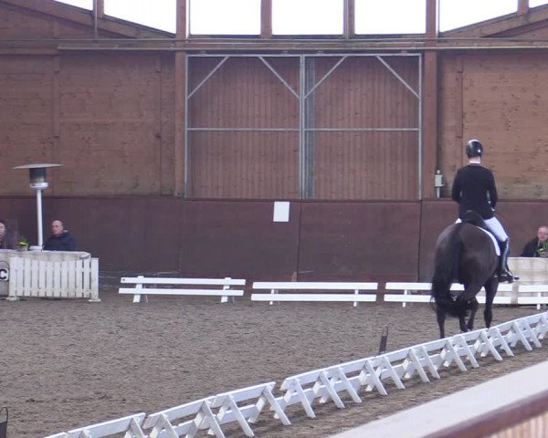 Reitturnier Buchholz in der Nordheide 2021
