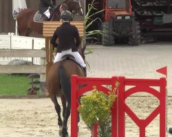 jumper Sanjador N (Württemberger, 2007, from Sir Shutterfly)