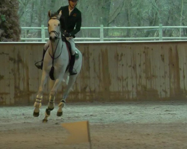 Reitturnier Lahr-Langenwinkel 2021