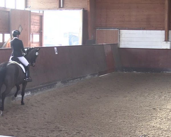 Reitturnier Buchholz in der Nordheide 2021