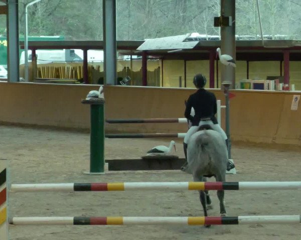 Reitturnier Lahr-Langenwinkel 2021