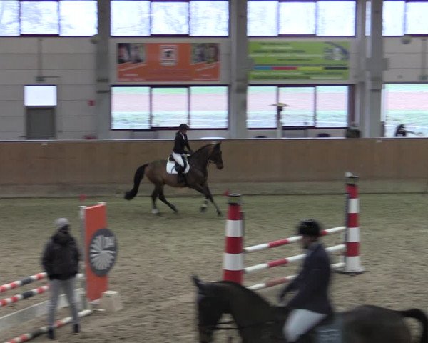 Reitturnier Prussendorf 2021