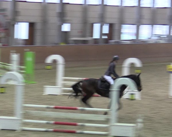 Reitturnier Prussendorf 2021