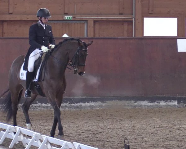 Reitturnier Buchholz in der Nordheide 2021