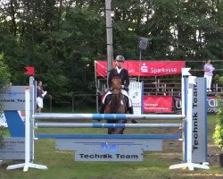 jumper Lady Luna 26 (German Sport Horse, 2008, from Limaro M)