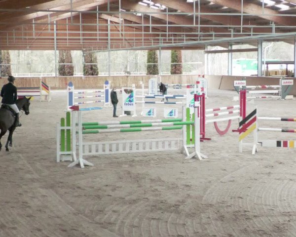 Reitturnier Lahr-Langenwinkel 2021