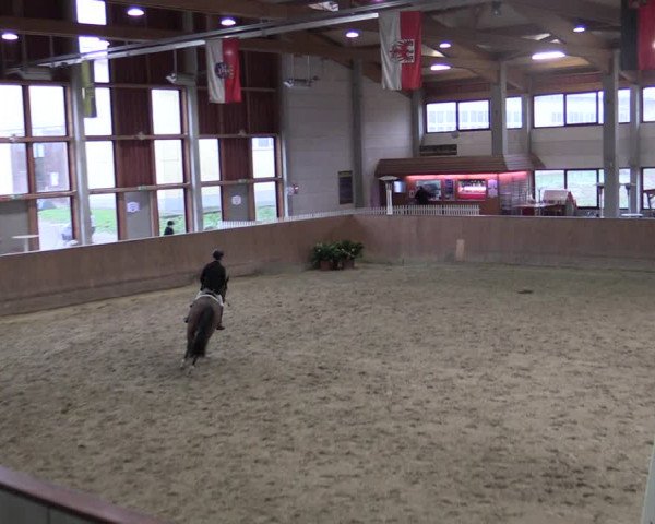 Reitturnier Prussendorf 2021