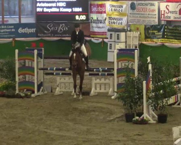 jumper Aristocrat HBC (KWPN (Royal Dutch Sporthorse), 2005, from Hbc Regilio)