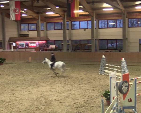 Reitturnier Prussendorf 2021