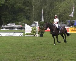 jumper Dilara 10 (KWPN (Royal Dutch Sporthorse),  , from Aeolus)