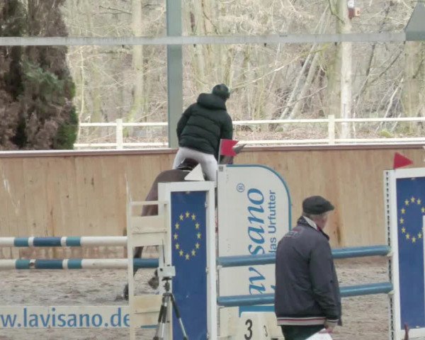 Reitturnier Lahr-Langenwinkel 2021