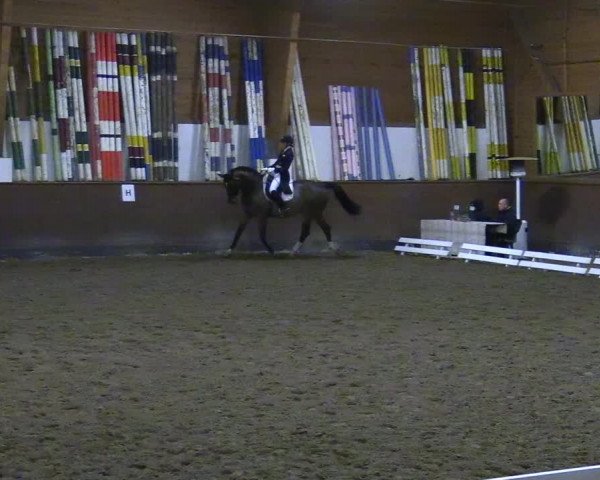 Reitturnier Buchholz in der Nordheide 2021