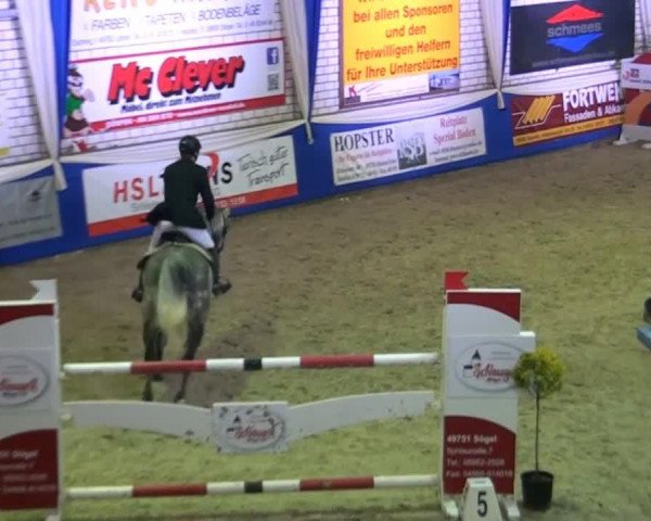 broodmare Liebste Roadst (Oldenburg, 2007, from Roadster)