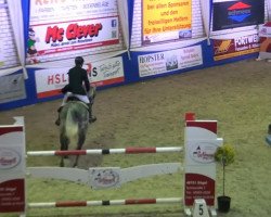 broodmare Liebste Roadst (Oldenburg, 2007, from Roadster)