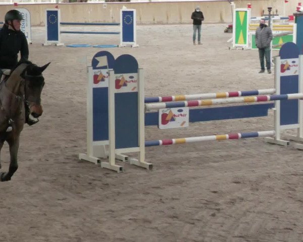 Reitturnier Lahr-Langenwinkel 2021