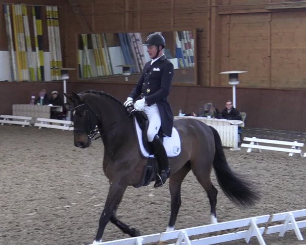 Reitturnier Buchholz in der Nordheide 2021