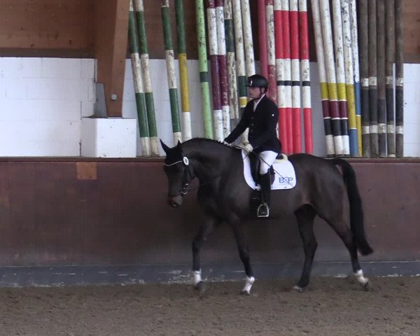 Reitturnier Buchholz in der Nordheide 2021