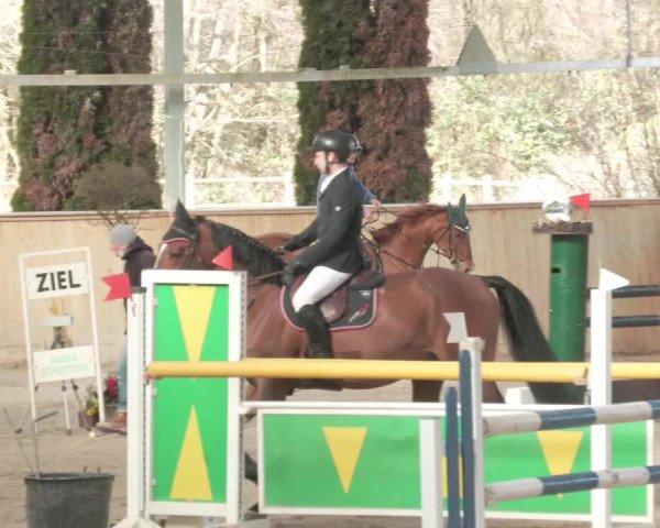 Reitturnier Lahr-Langenwinkel 2021