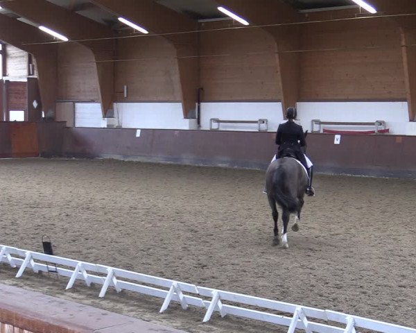 Reitturnier Buchholz in der Nordheide 2021