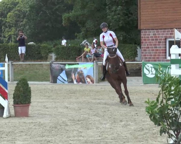jumper Woody 140 (KWPN (Royal Dutch Sporthorse), 2003, from Cobra)