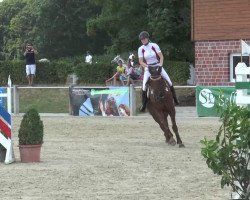 jumper Woody 140 (KWPN (Royal Dutch Sporthorse), 2003, from Cobra)