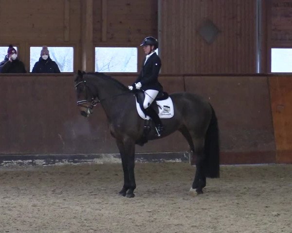 Reitturnier Buchholz in der Nordheide 2021