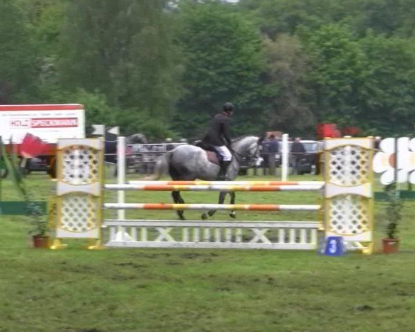 jumper Calabrese (Westphalian, 2007, from Cassiano)