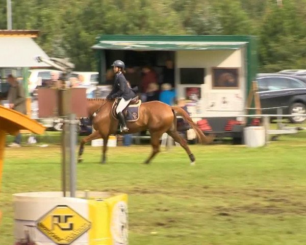 Springpferd Old and Rich (Westfale, 2006, von Oberon du Moulin)
