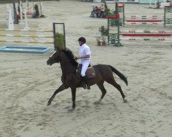jumper Pegasus 506 (unknown, 2008)