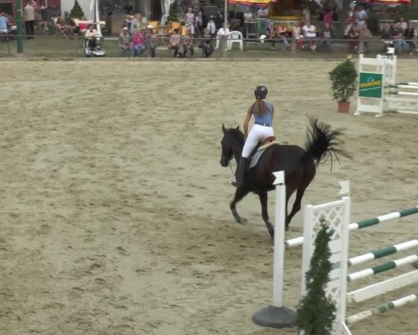 broodmare Maxime G (Westphalian, 2007, from Montendro)