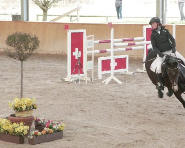 Reitturnier Lahr-Langenwinkel 2021