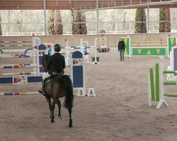 Reitturnier Lahr-Langenwinkel 2021