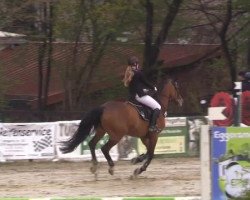 broodmare Filja 3 (Hanoverian, 2006, from Falkenstern II)